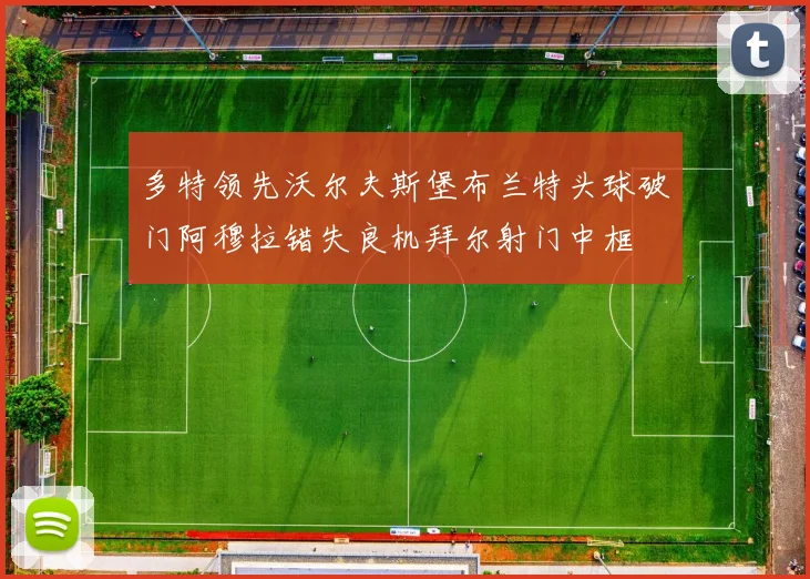 多特领先沃尔夫斯堡布兰特头球破门阿穆拉错失良机拜尔射门中框